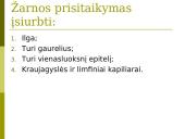 Virškinimas skrandyje ir žarnyne 19 puslapis