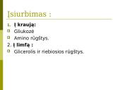 Virškinimas skrandyje ir žarnyne 20 puslapis