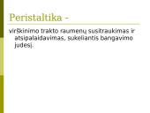 Virškinimas skrandyje ir žarnyne 4 puslapis