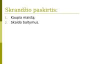 Virškinimas skrandyje ir žarnyne 7 puslapis