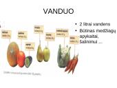 Sveikata ir sveika gyvensena 12 puslapis