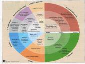 Sveikata ir sveika gyvensena 19 puslapis