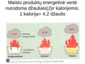 Sveikata ir sveika gyvensena 4 puslapis