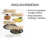 Sveikata ir sveika gyvensena 9 puslapis