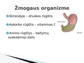 Rūgštys aplink mus 4 puslapis