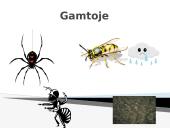 Rūgštys aplink mus 6 puslapis