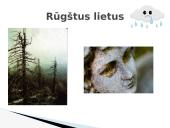 Rūgštys aplink mus 7 puslapis