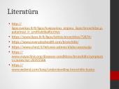 Bronchitas (ūminis ir lėtinis) 17 puslapis