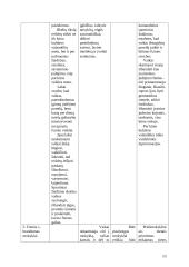 Ikimokyklinis ugdymas 13 puslapis