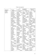 Ikimokyklinis ugdymas 16 puslapis