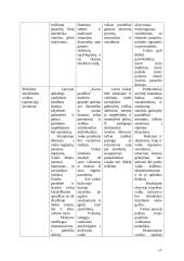 Ikimokyklinis ugdymas 17 puslapis