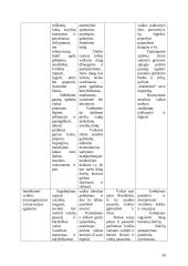 Ikimokyklinis ugdymas 18 puslapis