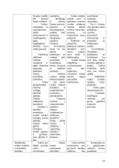 Ikimokyklinis ugdymas 19 puslapis