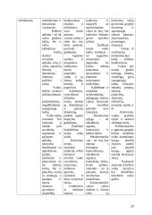 Ikimokyklinis ugdymas 20 puslapis