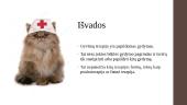 Gyvūnų terapija 17 puslapis