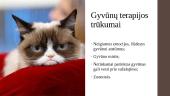 Gyvūnų terapija 7 puslapis