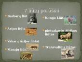 Skaidrės apie liūtus 5 puslapis