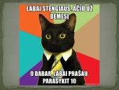 Skaidrės apie liūtus 9 puslapis