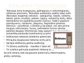 Sporto organizacijos reklamos būdai  9 puslapis