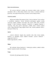 Įmonės aprašymas: AB "Lietuvos telekomas" 4 puslapis