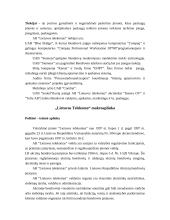 Įmonės aprašymas: AB "Lietuvos telekomas" 6 puslapis