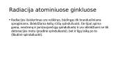 Radioaktyvumas atominiuose ginkluose    4 puslapis