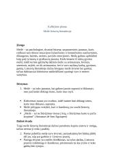 Meilė lietuvių literatūroje - kalbėjimo planas