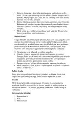 Meilė lietuvių literatūroje - kalbėjimo planas 2 puslapis
