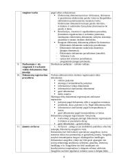 Įmonės charakteristika ir dokumentai: Lietuvos viešojo administravimo institutas 6 puslapis