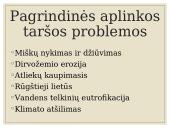 Aplinkos tarša (skaidrės) 4 puslapis