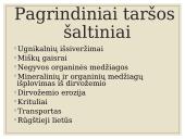 Aplinkos tarša (skaidrės) 5 puslapis