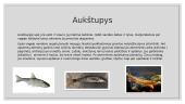 Gėlojo vandens telkinio ekosistema 14 puslapis