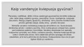 Gėlojo vandens telkinio ekosistema 6 puslapis