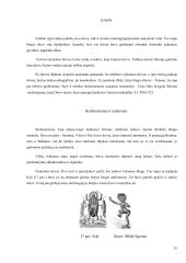 Gėris ir blogis. Dailė 14 puslapis