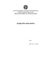 Įmonės charakteristika: finansinės paslaugos