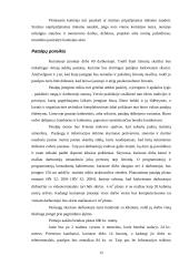 Įmonės charakteristika: finansinės paslaugos 12 puslapis