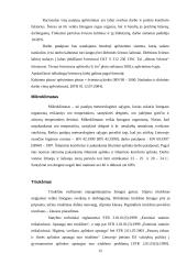 Įmonės charakteristika: finansinės paslaugos 15 puslapis