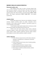 Įmonės charakteristika: finansinės paslaugos 6 puslapis