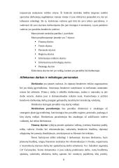 Įmonės charakteristika: finansinės paslaugos 8 puslapis