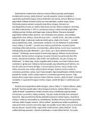 Kančia B. Sruogos ir A. Škėmos romanuose 2 puslapis