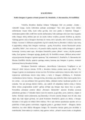 Kokia žmogaus ir gamtos artumo prasmė? Kalba ir planas 3 puslapis