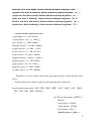 Įmonių ekonomikos kontrolinis darbas 8 puslapis