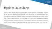 Gyvenamųjų namų langai ir išorinės lauko durys 7 puslapis