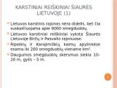 Karstiniai reiškiniai Šiaurės Lietuvoje 11 puslapis