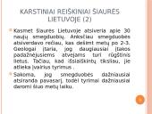 Karstiniai reiškiniai Šiaurės Lietuvoje 12 puslapis