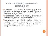 Karstiniai reiškiniai Šiaurės Lietuvoje 14 puslapis