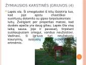 Karstiniai reiškiniai Šiaurės Lietuvoje 18 puslapis