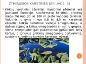 Karstiniai reiškiniai Šiaurės Lietuvoje 19 puslapis