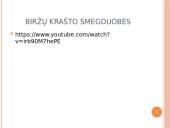 Karstiniai reiškiniai Šiaurės Lietuvoje 20 puslapis