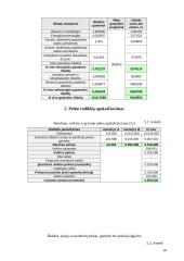 Imonės ekonomika: ofsetinė ir fleksografinė spauda 16 puslapis